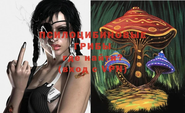 a pvp Беломорск
